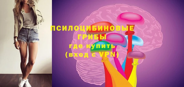a pvp Арсеньев