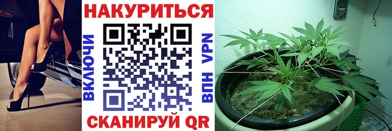 дарнет шоп  дарк нет формула  Бошки Шишки сатива  Майкоп  MEGA ссылки 